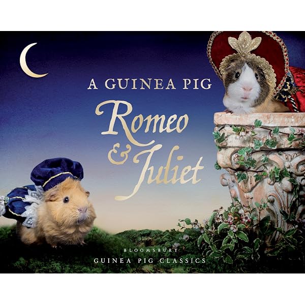 A Guinea Pig Nutcracker (Guinea Pig Classics): Goodwin, Alex